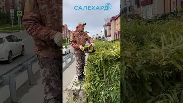 Сегодня дежурный по городу вновь проехался по столице Ямала