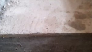 Неправильная лестница в погреб. Продолжаю попытки высушить подвал.