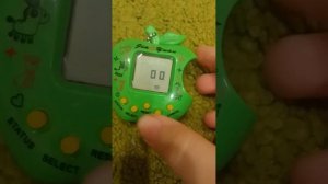 секретные пароли в тамагочи 😁