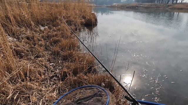 Фидер зимой на незамерзающем озере "Рыбацкая Деревенька". Рыбалка 2023. смотреть онлайн