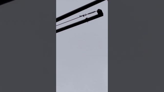 Механизм открытия фрамуги(клапана) в Теплице смотреть онлайн