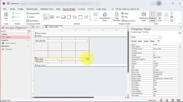 Code 128 Barcode Labels Wizard in MS Access made with BarCodeWiz Code 128 Fonts