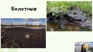 4К Окружающий мир: «Земля - кормилица»