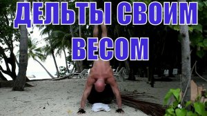 Как накачать огромные плечи без железа своим весом. Дельтовидные мышцы