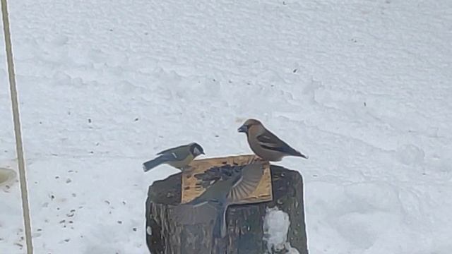 17.04.2022 У природы нет плохой погоды смотреть онлайн