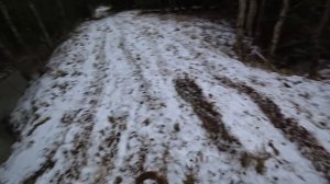 Охота #216 с гончими на зайца и лису