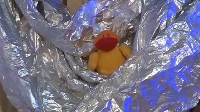 Сказки Кукушка и другие птицы смотреть онлайн