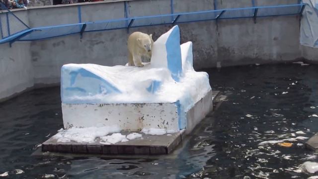 Ростик с конусом 03.11.16 смотреть онлайн