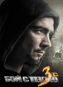 Бой с тенью 3D: Последний раунд (2011)