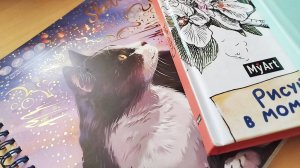 Начатые скетчбуки / планы на творчество