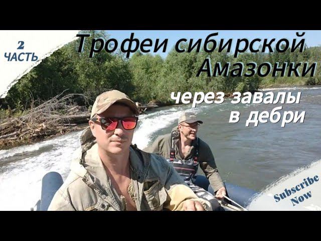 Нарвались на огромных Хариусов в маленькой горной речушке.#рыбалка#водомет#спининг смотреть онлайн