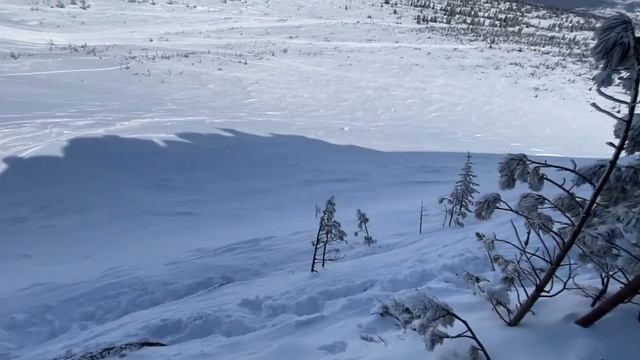 Шерегеш/Спуск с г.Курган "Кресты","Верблюды" смотреть онлайн