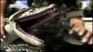 Укус анаконды - Animal Planet