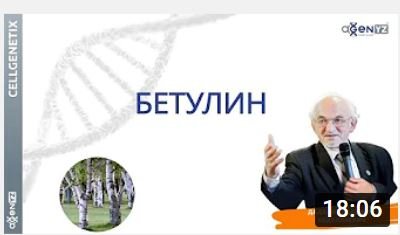 Бетулин В.А.Дадали