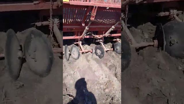 Посадка картофеля в беларуси 2020 смотреть онлайн