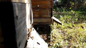 Малоформатные улья.