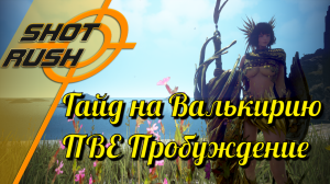 Black Desert / BD: Гайд на Валькирию (в ПВЕ - Пробуждение) от 26.03.24