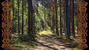 5 На связь с РОДом.Мантра — Славянская Агма.АГМА – «Радоро Даро Славо».Зачение Слов