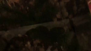 Пойман большой ротан(21см), сидит в аквариуме