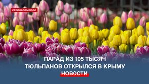 159 сортов и 40 новинок: в Никитском ботаническом саду начался Парад тюльпанов