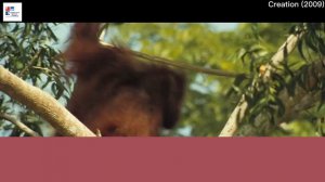 Past Simple in MOVIES