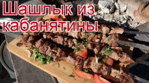 Рецепты из кабана - как приготовить кабана пошаговый рецепт - Шашлык из кабанятины за 30 минут