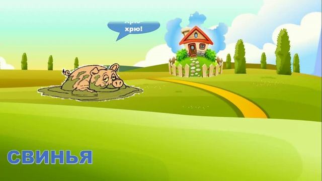 домашние животные.mp4