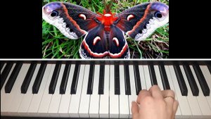 Антон Диабелли "Мотылёк"