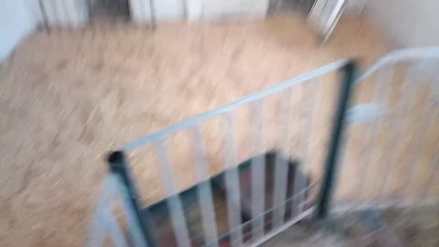 обновленный свинарник смотреть онлайн