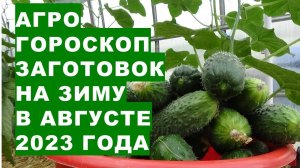 Агрогороскоп заготовок вкусностей на зиму в августе 2023 года