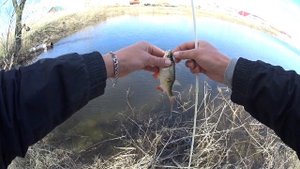 Мормышинг 2021, Ловля на мормышку 2021 и на отводной поводок - сорожка и красноперка Ультралайт 202