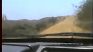 arxiv-travina-01-07-23-koktebel-krim-poezdka-v-lisyu-buxtu-iyul-2001-g