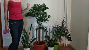 Избавляемся от, любых, вредителей ! Как избавиться от вредителей на комнатных растениях?