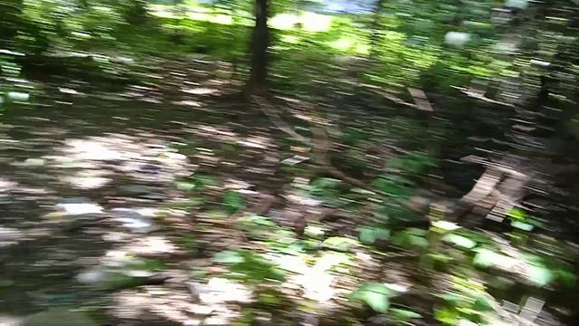 хотели сходить за грибами А тут это... смотреть онлайн