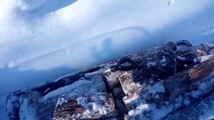 На буране за дровами