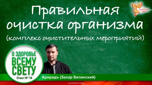 Правильная очистка организма (комплекс очистительных мероприятий). Захар Белинский (Арирадъ)