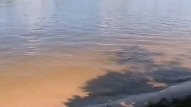 наш обзор отеля Club Bentota смотреть онлайн