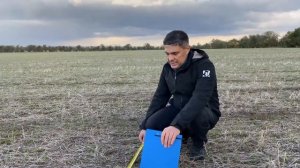 Обследование озимых культур. Часть 1 | Агроном | Сергий Ризанов