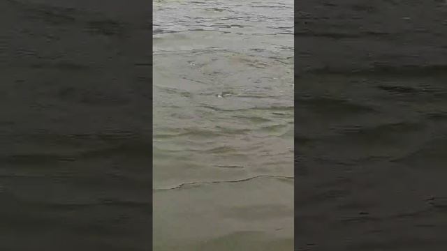 Рыбное место #рыболовныйдень