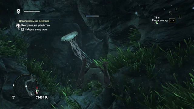 Улучшение Галки. Assassin’s Creed IV: Black Flag #71. смотреть онлайн