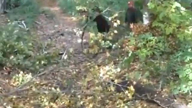 Джип-тур по Самарской луке от Emotion-box.ru смотреть онлайн