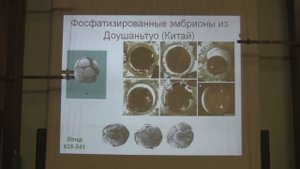 Марков Александр - Теория эволюции Лекция 16 Протерозой