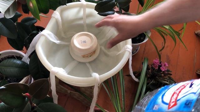 Простая система полива домашних растений в горшках. Уезжаешь на 2-3 недели? Бери и делай! смотреть онлайн