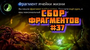 ➤ Сбор фрагментов ➤ Ori and the Will of the Wisps Прохождение игры на пк на Русском #37