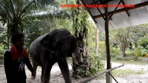 экскурсия на Као Лак. Пхукет. сентябрь 2018