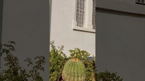 Кенон Марк 2.м 50.как он снимает видио