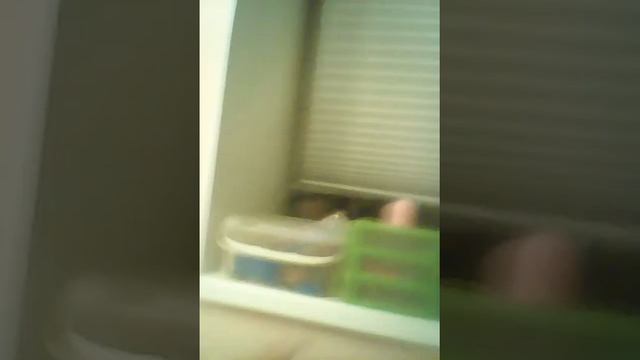 Рум-тур на мою команду??вечернее видео??? смотреть онлайн