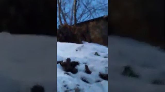 Чистополь. Поселок водников