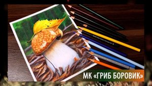 КАК НАРИСОВАТЬ БАБОЧКУ цветными карандашами (timelapse) Drawing butterfly with colored pencils