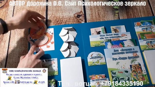 Обзор лэпбука "Мир насекомых" смотреть онлайн